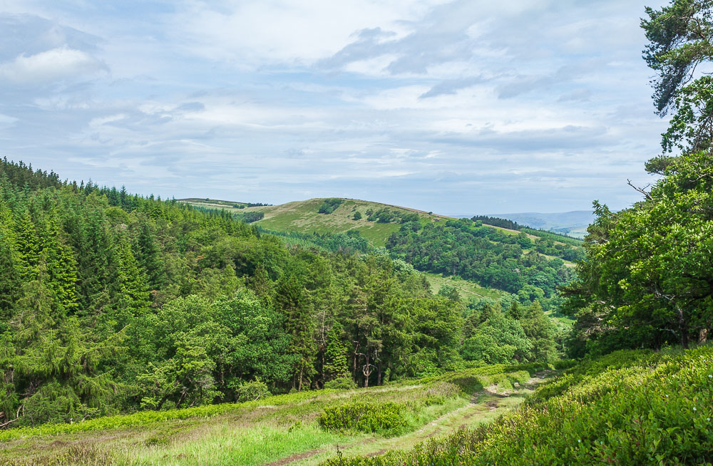 Foxlow Edge Foxlow Edge